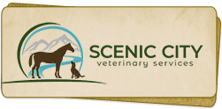 Scenic City Veterinary Services