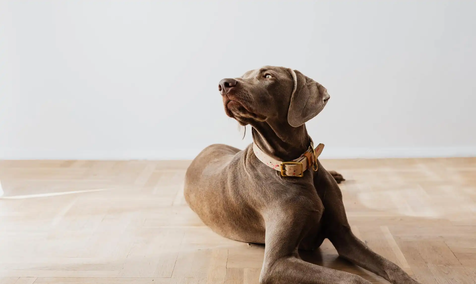 Uh Oh - Page Not Found