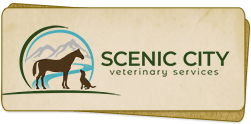 Scenic City Veterinary Services